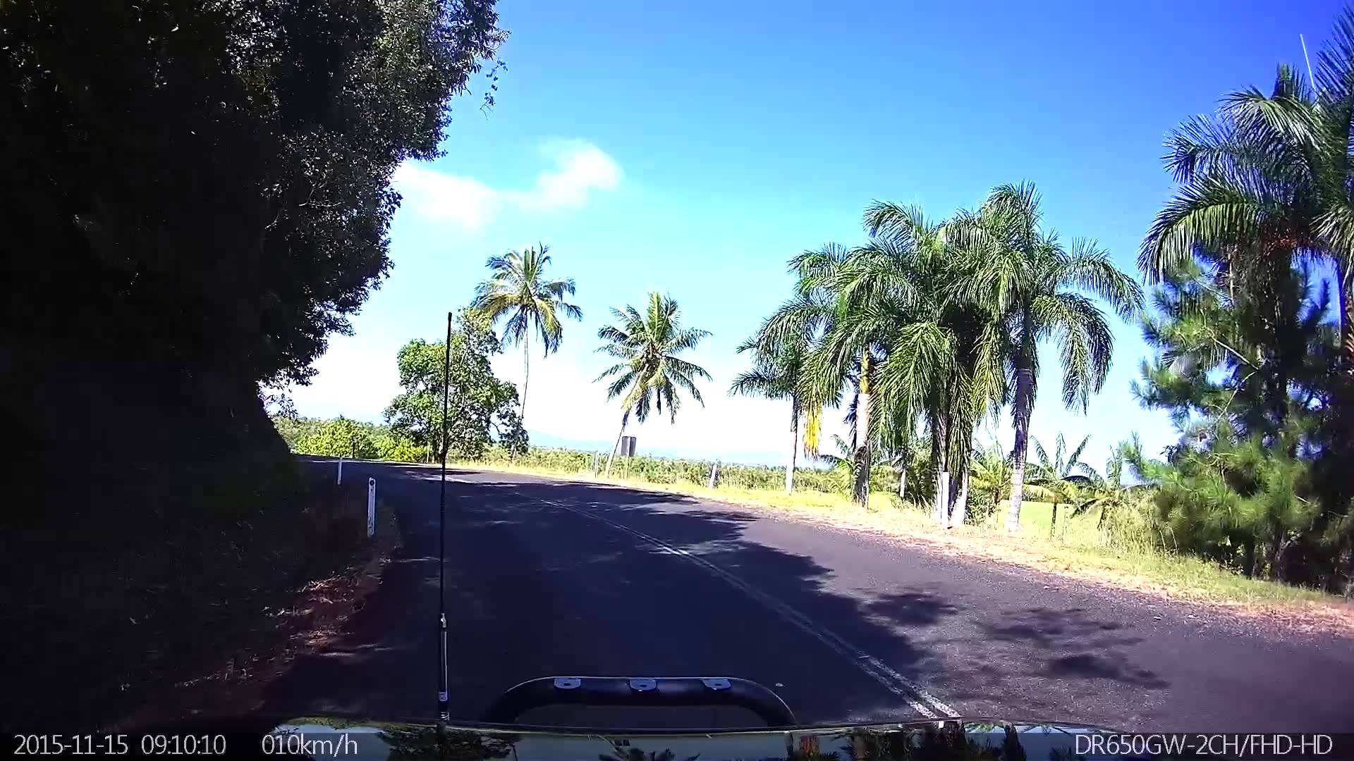 [DR650GW-2CH] Beware Of The Cassowary