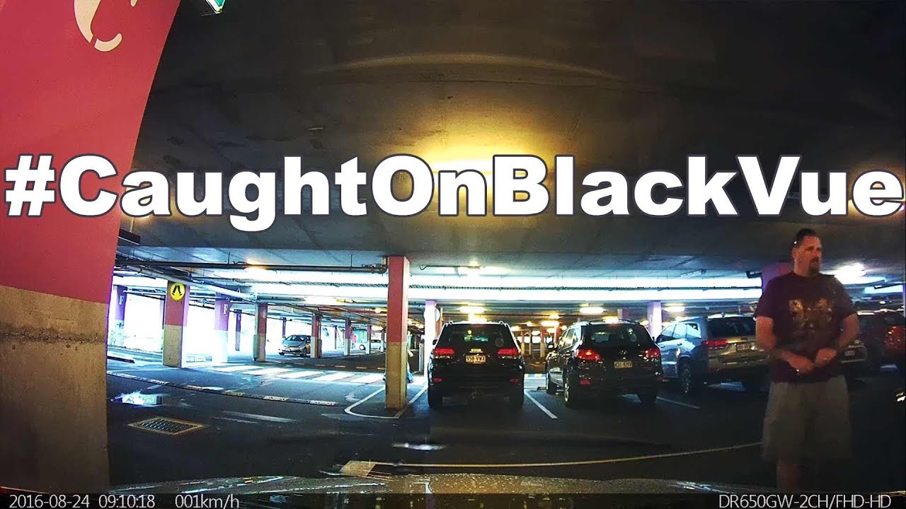Shopping Mall Parking Vandal #CaughtOnBlackVue