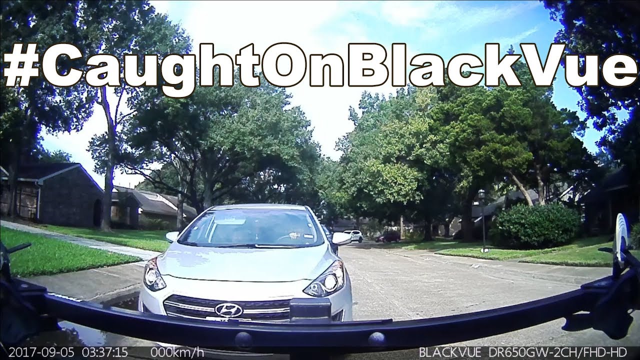 Driver Purposefully Tries To Get Hit #CaughtOnBlackVue