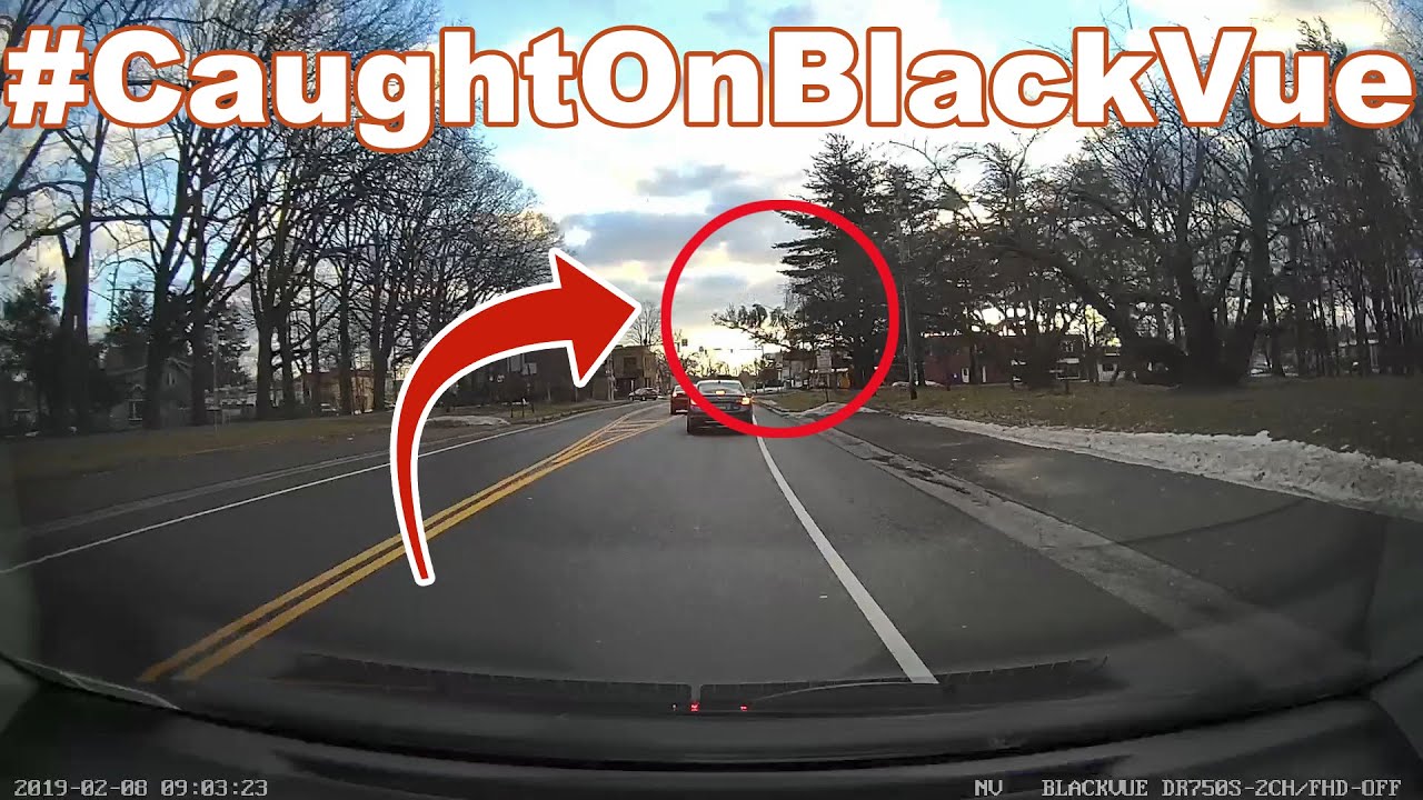 Tree Snaps And Falls On The Road #CaughtOnBlackVue