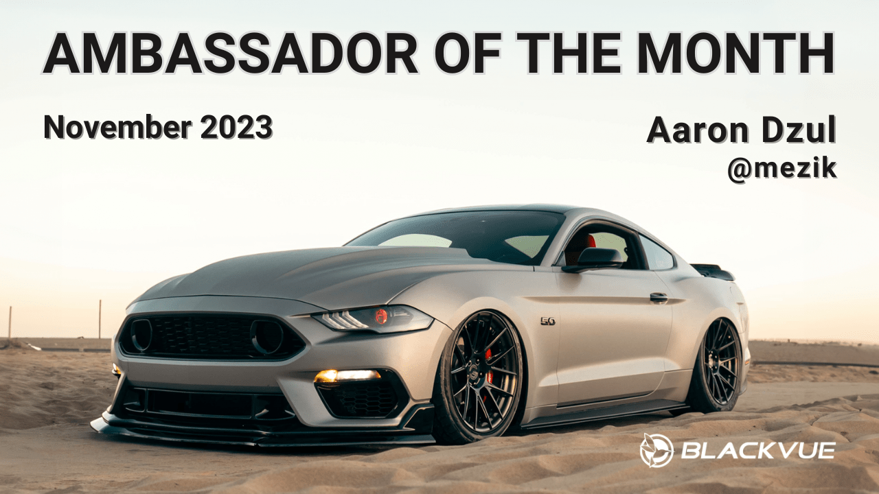 Ambassador of the Month – November 2023